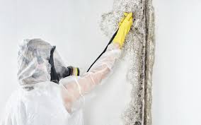 Best Mold Remediation for Healthcare Facilities  in Glendora, NJ